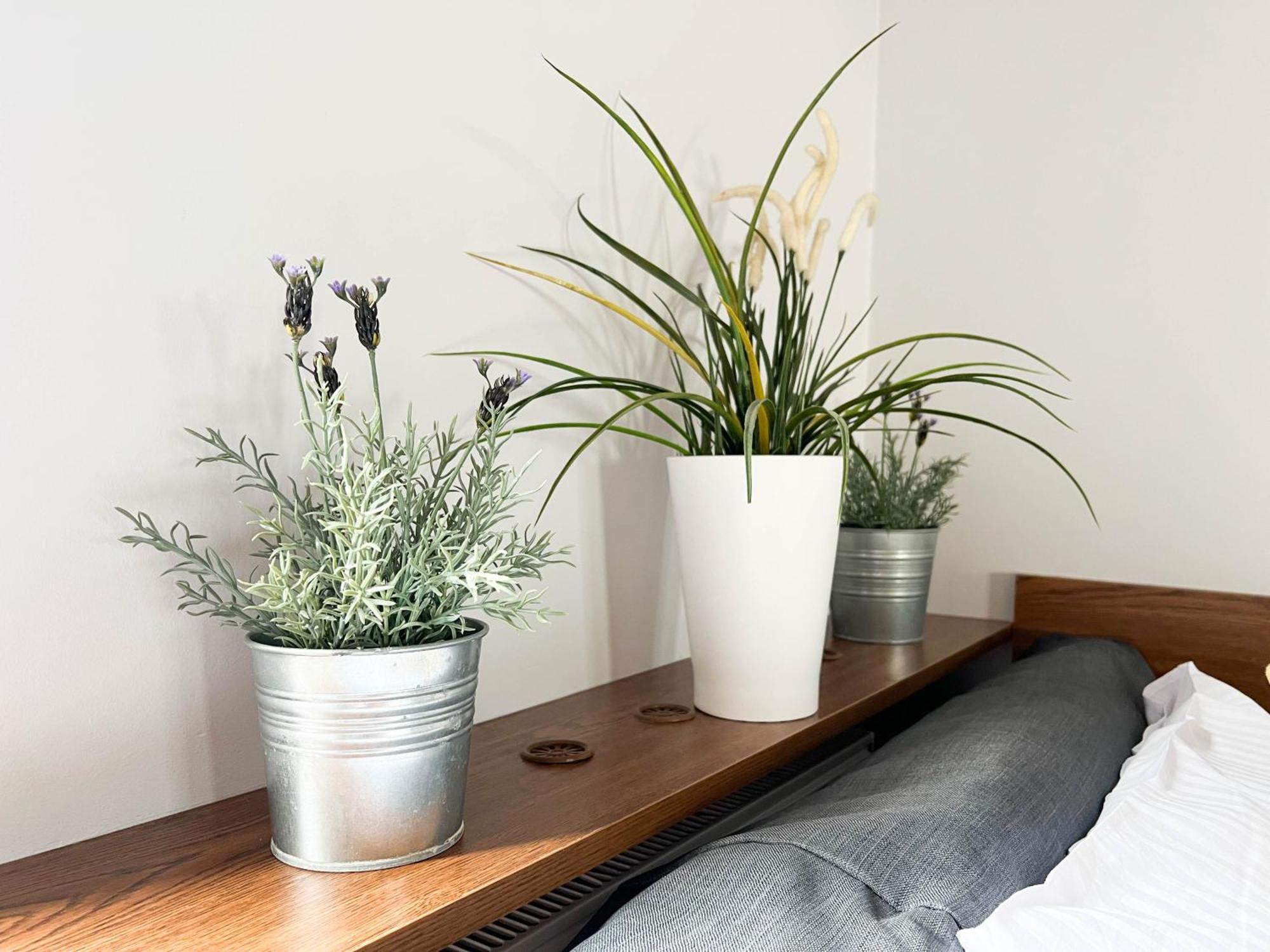 קרקוב 3D Szlak 77 Apartament מראה חיצוני תמונה